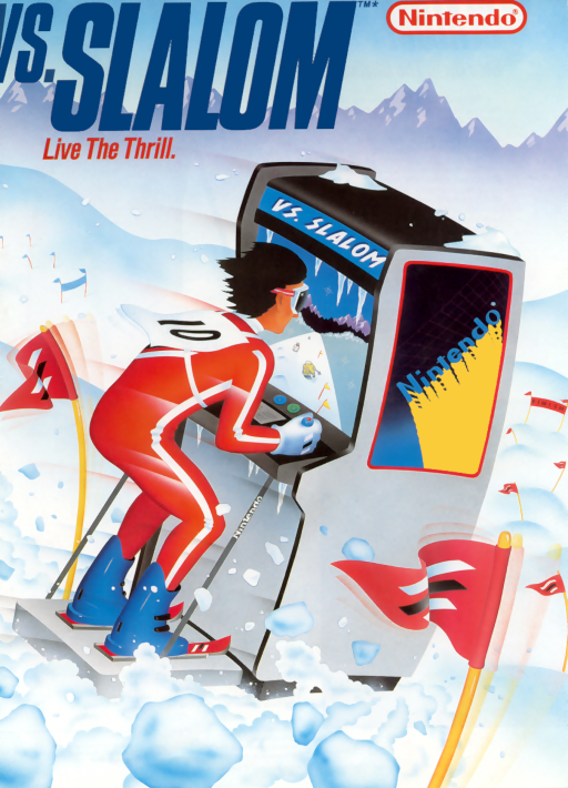 Vs. Slalom Game Cover